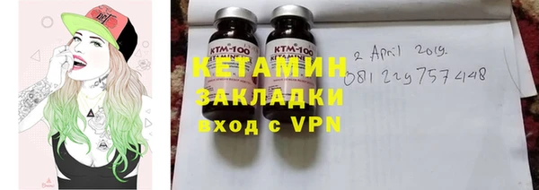 шишки Новозыбков