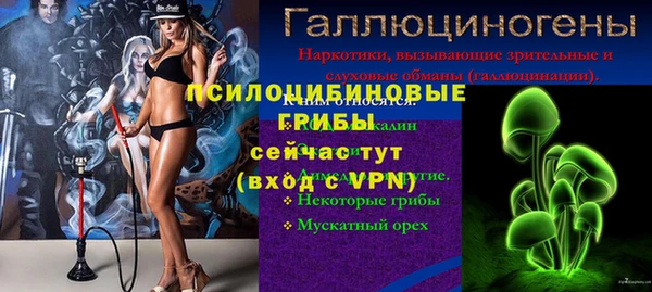 кокс Нея