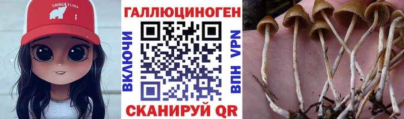Псилоцибиновые грибы Magic Shrooms  магазин продажи наркотиков  Кукмор 