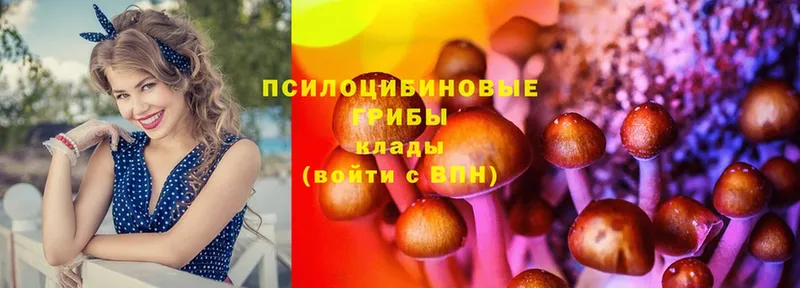 Галлюциногенные грибы MAGIC MUSHROOMS  Кукмор 